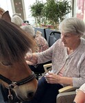 IMG_0045